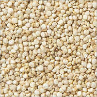 Semillas y grano de la quinoa