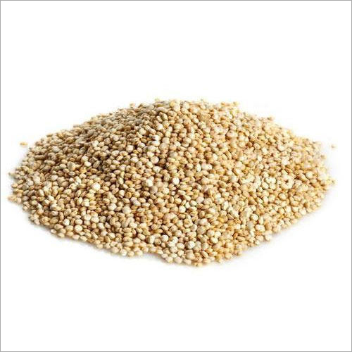 Organic Quinoa Grain Origin: India