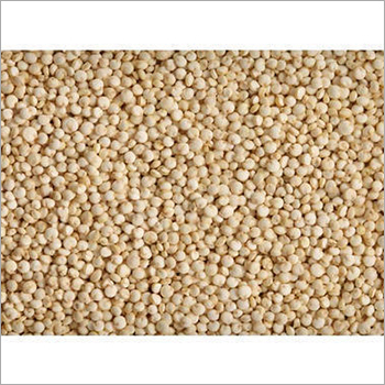 Quinoa Seeds And Grain