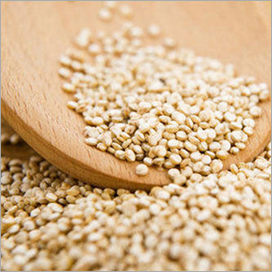 Organic Quinoa Seed