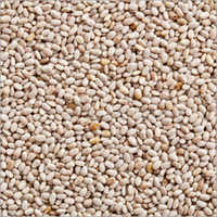 Organic Chia Seed