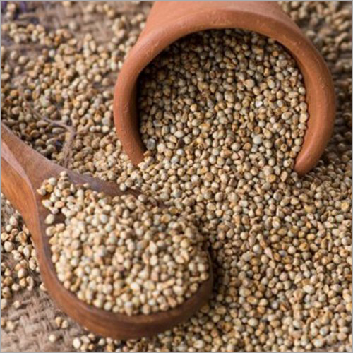 Organic Pearl Millet Purity: 99%