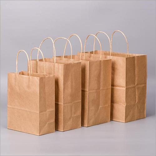 Brown Paper Carry Bag