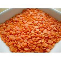 Masoor Dal