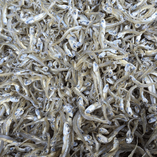 Dry Anchovies Fish By EPICO HUB SOLUCOES INOVADORAS LTDA