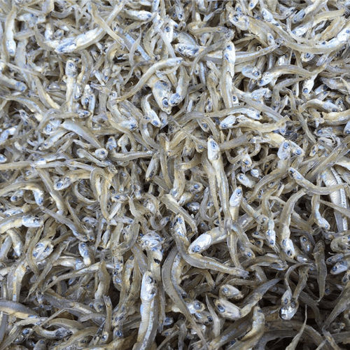 Dry Anchovies Fish