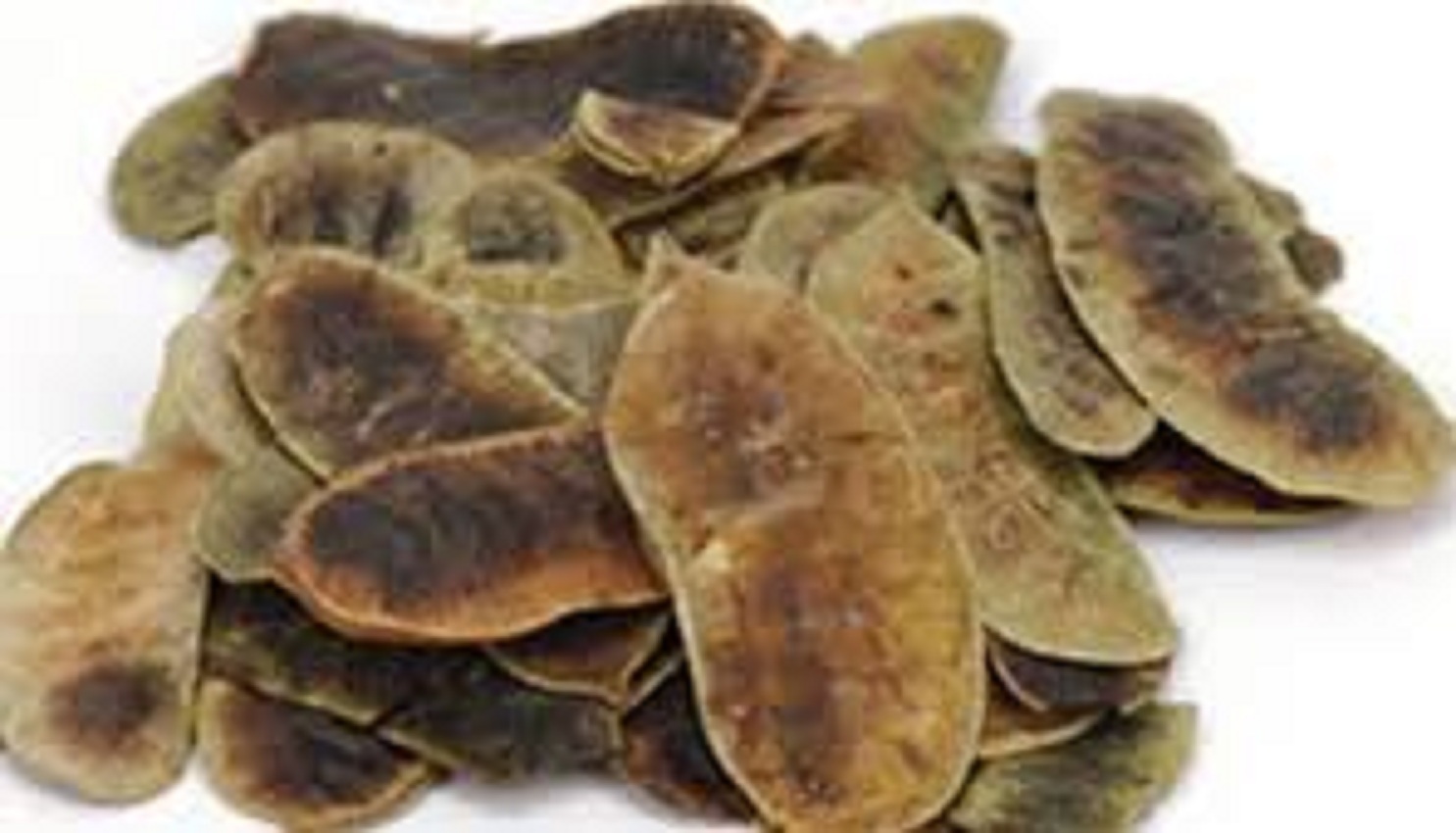 Senna Pods