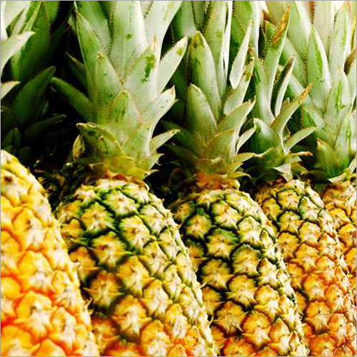 Fresh Pineapple By RIS INTERNATIONAL