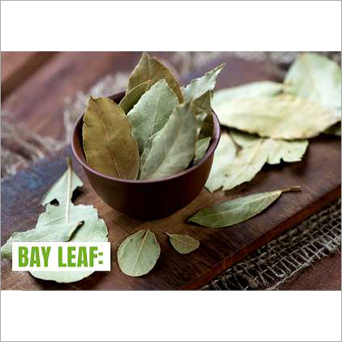 Bay Leaf
