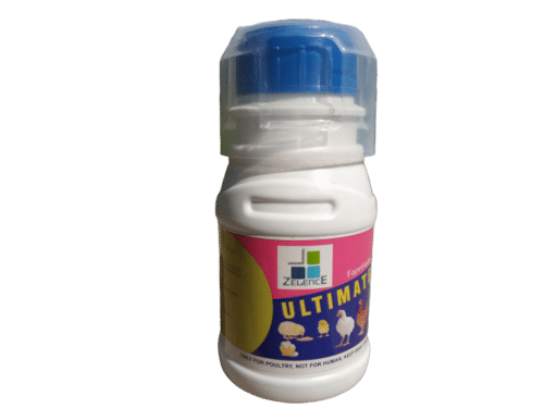 Ultimate Liquid Feed Supplement For Poultry