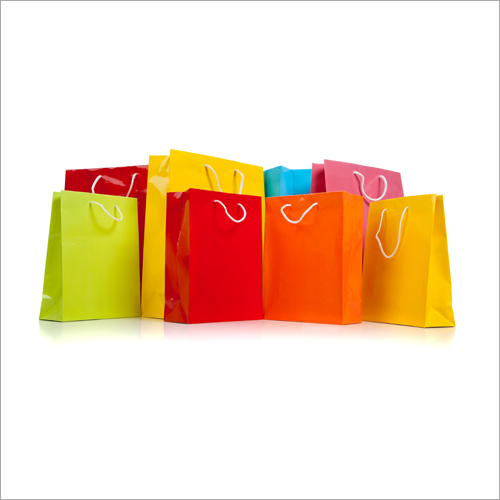 Shopping Paper Bags