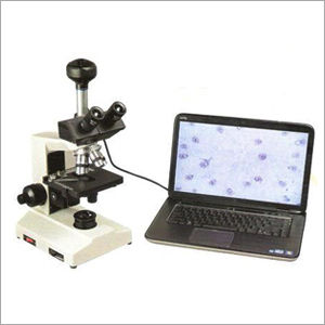 Research Trinocular Microscope