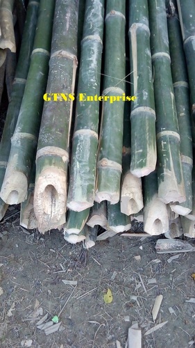Raw Bamboo Pole