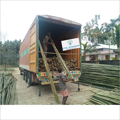 Bamboo Pole