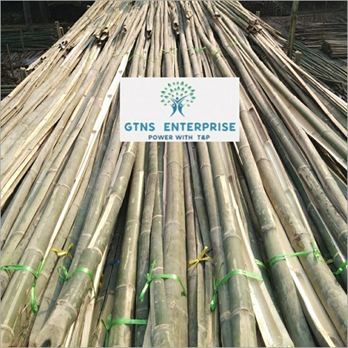 Bamboo Pole