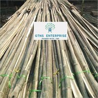 Bamboo Pole