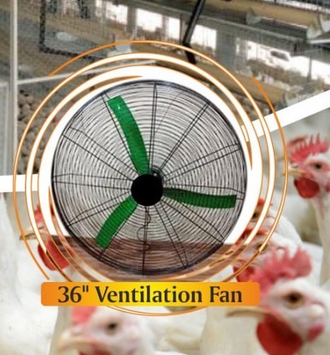 Poultry Ventilation Fan