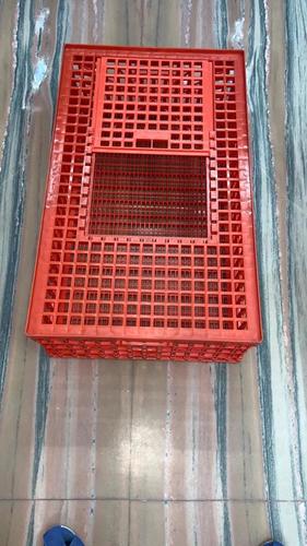 Poultry Bird Transport Cage