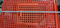 Poultry Bird Transport Cage