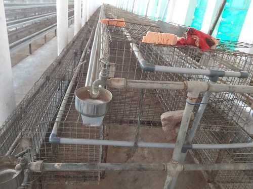 Poultry Brooder Cage