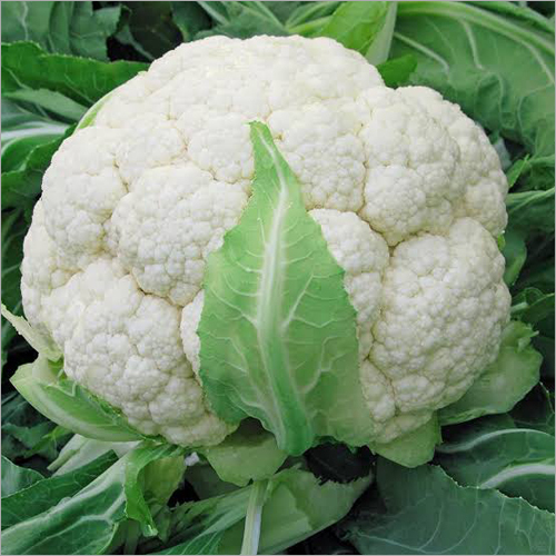 Natural Fresh Cauliflower