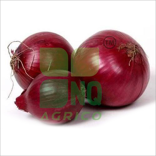 Natural Red Onion