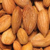 Fresh Almond