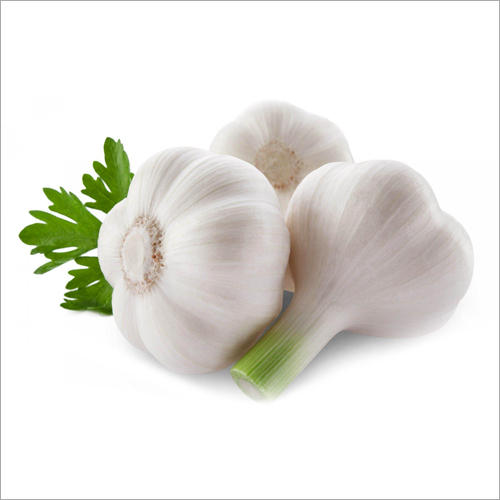 White Garlic Moisture (%): Nil