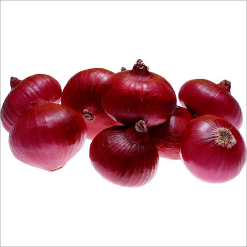 Fresh Red Onion