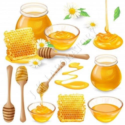 Honey Testing Services