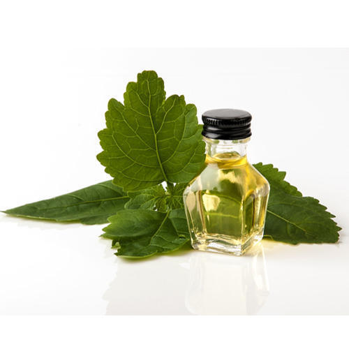 Patchouli Oil