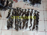 Hair Extension