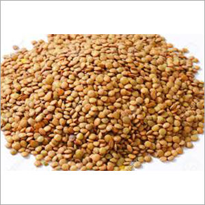 Brown Masoor Dal