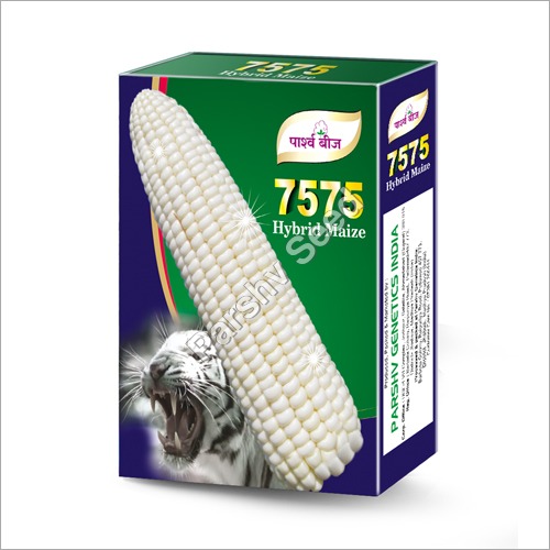 7575 Hybrid White Maize Seeds