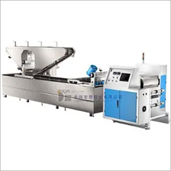 Automatic Water Transfer Printing Machine