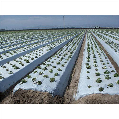Black and Silver Mulching Film