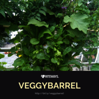 Balcony Vegetable Garden Planter