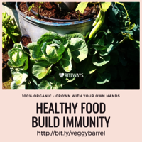 Balcony Vegetable Garden Planter