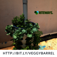 Balcony Vegetable Garden Planter