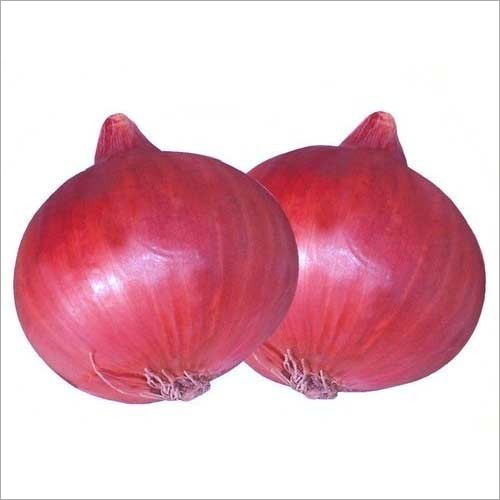 Nashik Onion - Fresh A Grade | 10, 20, 50 Kg Packaging, Moisture Nil, Natural Shape, Ideal for Salads and Flavoring