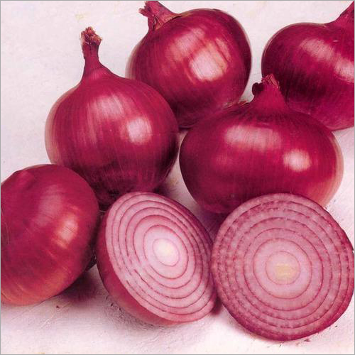 Nashik Red Onion - A Grade Quality, 10/20/50 kg Packaging Size | Natural Shape, Moisture Nil, Ideal for Food Applications
