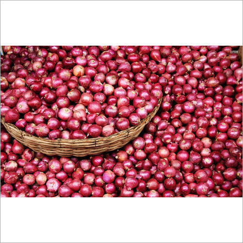 Organic Fresh Onion - Natural Shape, 10/20/50 kg | Nil Moisture, A Grade Quality, Ideal for Cooking, Salsa, and Salad Preparation