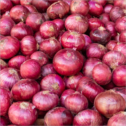 Organic Onion - A Grade, 10/20/50 kg | Natural Shape, Moisture Nil, Rich Flavor, Packaged for Optimal Freshness