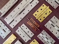Architectural Door Hinges