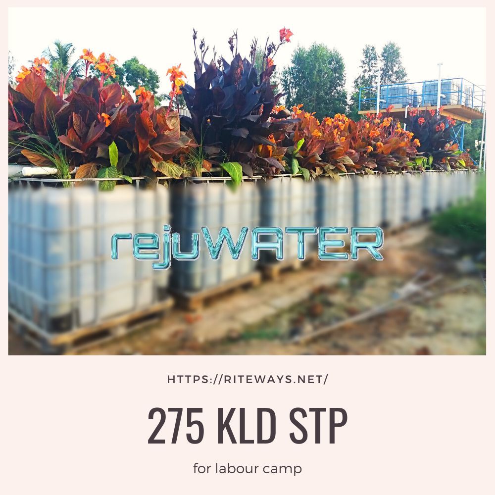 Solar Sewage Treatment Plant