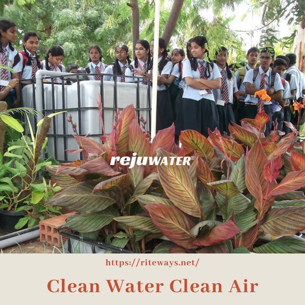 Solar Sewage Treatment Plant
