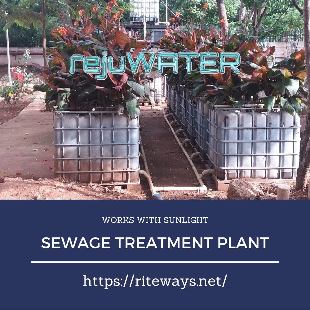 Solar Sewage Treatment Plant