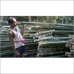 24 Feet Bamboo Pole