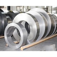 Stainless Steel 202 Strips