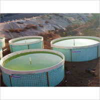 Industrial Aquaculture Tank